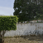 Floricultura Cemitério Municipal de Branquinha/AL