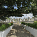 Floricultura Cemitério Municipal de Capela/AL