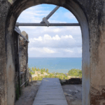 Floricultura Cemitério Municipal de Maragogi/AL