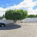 Floricultura Cemitério Municipal de Olivença/AL