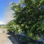 Floricultura Cemitério Municipal de Arataca – BA