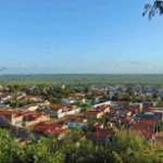 Floricultura Cemitério Municipal de Biritinga – BA