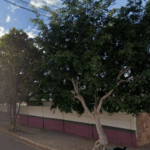 Floricultura Cemitério Municipal de Boninal – BA