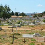 Floricultura Cemitério Municipal de Canudos – BA