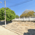 Floricultura Cemitério Municipal de Carinhanha – BA