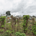 Floricultura Cemitério Municipal de Coaraci – BA