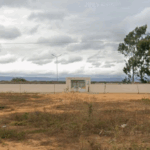 Floricultura Cemitério Municipal de Condeúba – BA
