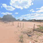 Floricultura Cemitério Municipal de Coribe – BA