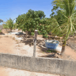 Floricultura Cemitério Municipal de Filadélfia – BA