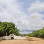 Floricultura Cemitério Municipal de Ibipeba – BA