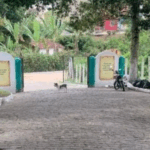 Floricultura Cemitério Municipal de Ibirataia – BA