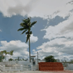 Floricultura Cemitério Municipal de Paulo Jacinto – AL