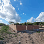 Floricultura Cemitério Municipal de Poço das Trincheiras – AL