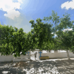 Floricultura Cemitério Municipal de Porto de Pedras – AL