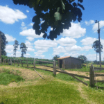 Cemitério Municipal de Entre Rios de Minas