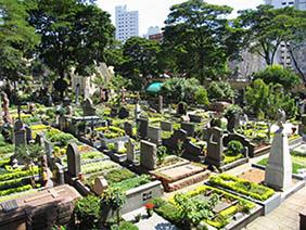 Floricultura Cemitério Municipal de Lupércio – SP