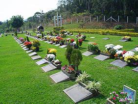 Floricultura Cemitério da Sociedade Beneficiente Ns. De Belém