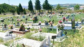 Floricultura Cemitério Jardim da Saudade – Jardim Sulacap