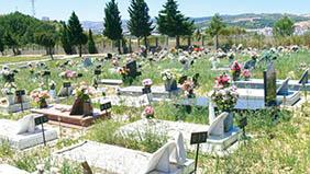 Floricultura Cemitério Memorial dos Lagos – RJ