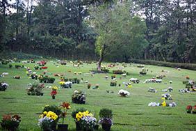 Floricultura Cemitério Municipal de Altair – SP