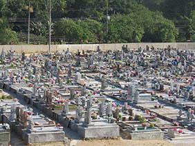 Floricultura Cemitério Municipal de Barrinha – SP