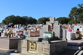 Floricultura Cemitério Municipal de Cerqueira César – SP