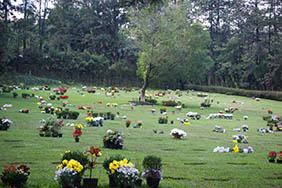 Floricultura Cemitério Municipal de Charqueada – SP