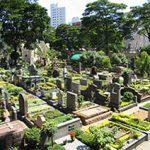Floricultura Cemitério Municipal de Cristais Paulista – SP