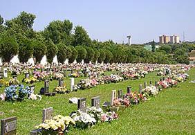 Floricultura Cemitério Municipal de Joanópolis – SP