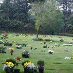 Floricultura Cemitério Municipal de Marapoama – SP