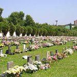 Floricultura Cemitério São Jose – GO