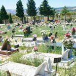 Floricultura Cemitério Municipal de Paranapuã – SP