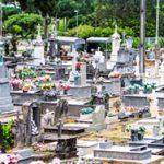 Floricultura Cemitério Parque Água Nova Mococa – SP