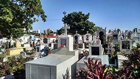 Floricultura Cemitério no bairro Primaveras – Guarulhos