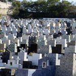 Floricultura Cemitério São Francisco de Assis Arapiraca – AL