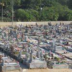 Floricultura Cemitério São João Batista Feira de Santana – BA